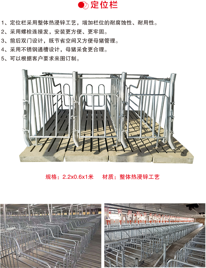 定位栏